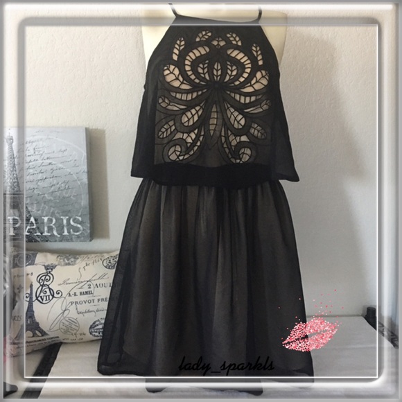 The Impeccable Pig Dresses & Skirts - The Impecable Pig | Black Chiffon Dress, Medium